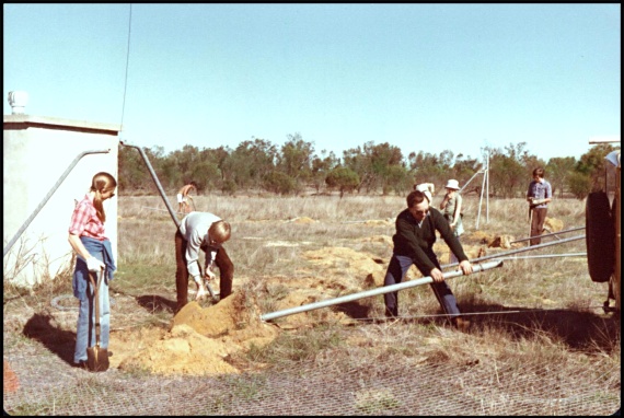 Moora digging