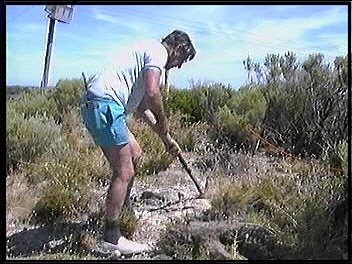 Cliff Rottnest