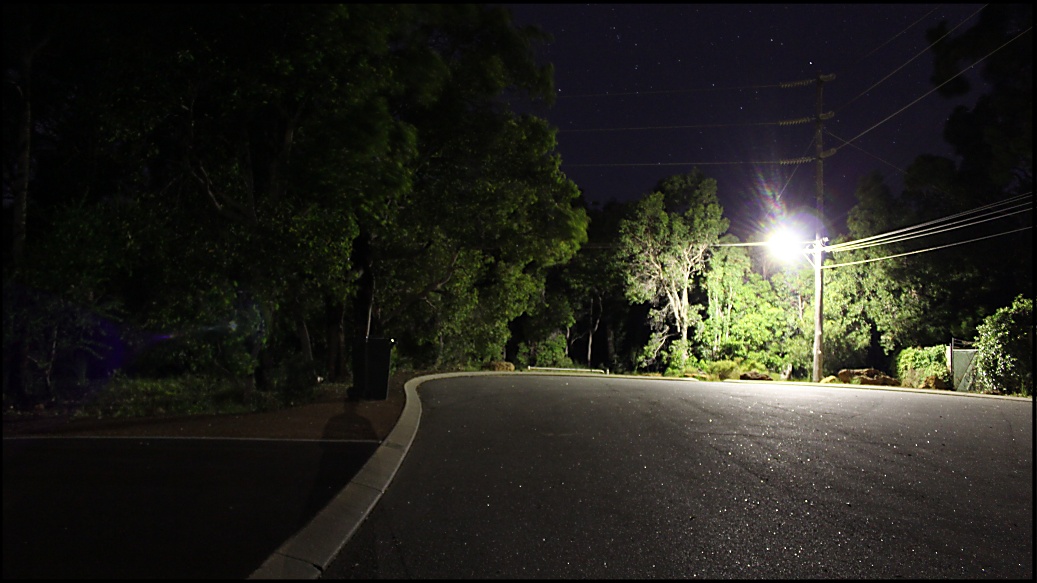 stars and forest