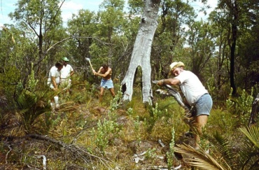 Day one clearing Tic Hill