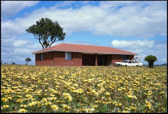 Cataby shearing quarters