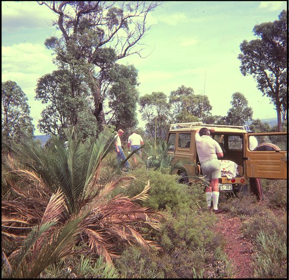 Tic Hill site early days